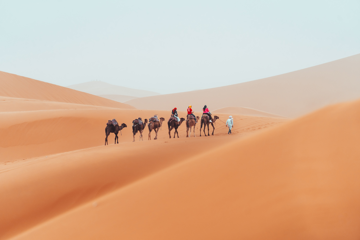 Desert Tours